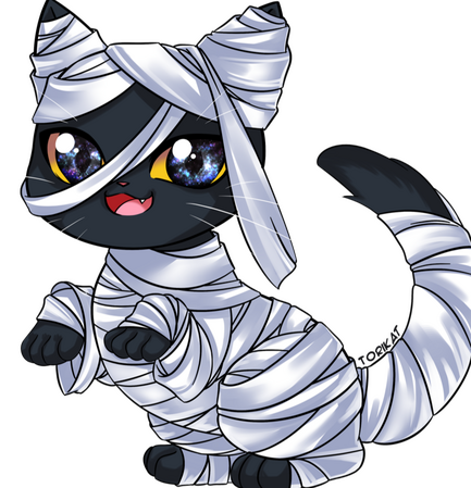 mummy cat