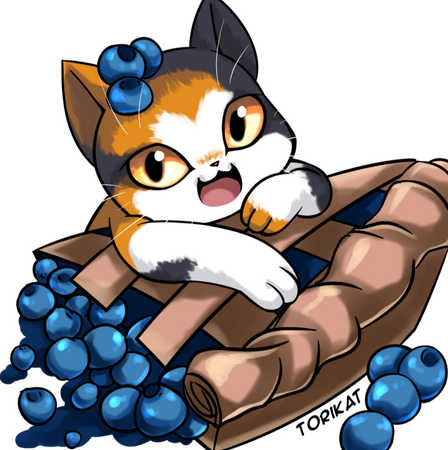 blueberry pie cat