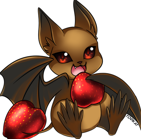 fruit bat